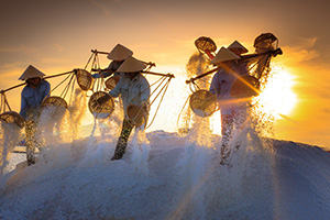 Visit The Salt Fields of Dam Vua - Ninh Thuan to See The “Gift from the Sea”
