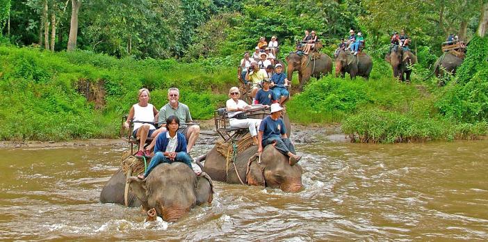 elephant-trek-into-the-mae-taeng-river-near-chiang-mai
