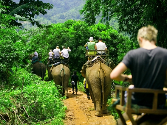 things-to-do-in-thailand-ridding-an-elephant