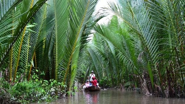 thing-to-do-in-vietnam-cruising-mekong-river-canals