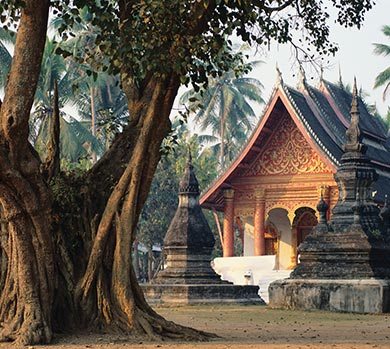 Tailor-made tours to discover Vietnam, Cambodia, Laos