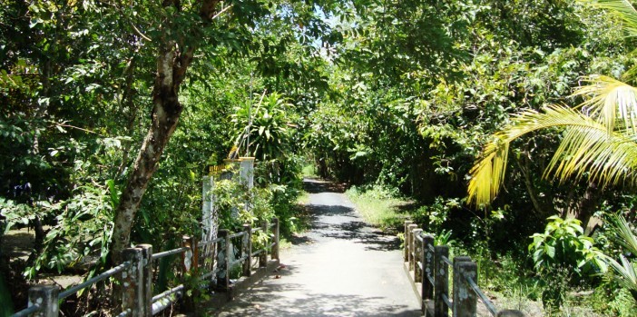 mekong-delta-cycling-tour