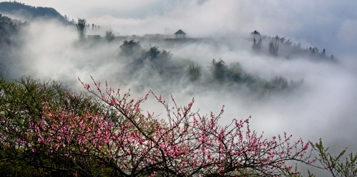 sapa-in-the-cloud