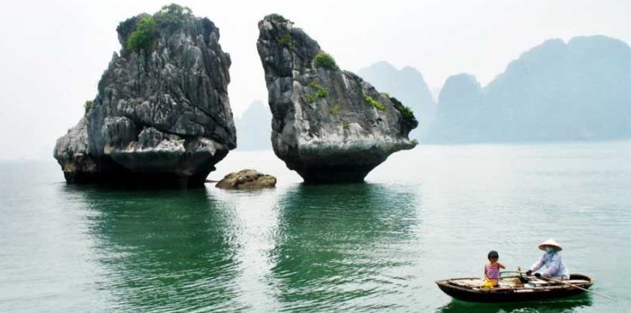 halong-bay-fighting-cock