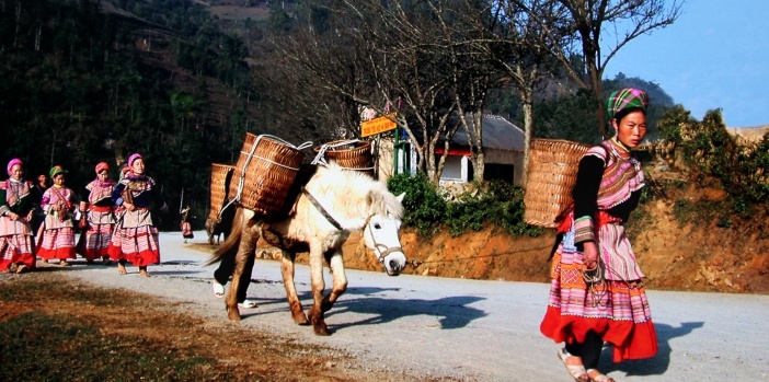 hmong-people-to-bac-ha-market