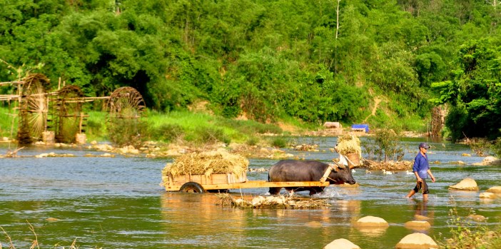 puluong-retreat-vietnam-landscape8