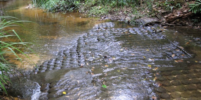 lingas-at-kulen-mountain-siemreap