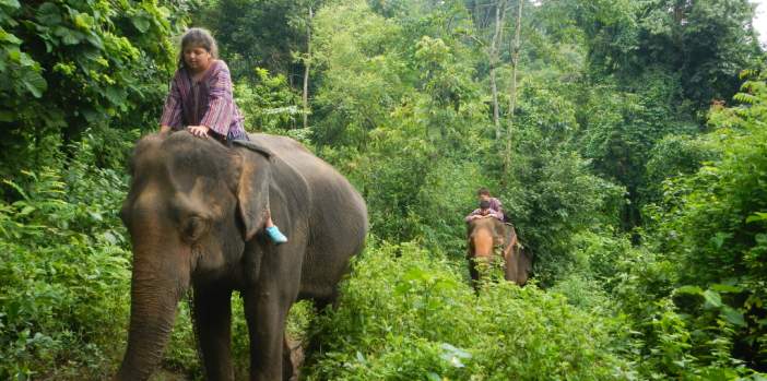 chiang-mai-elephant-riding