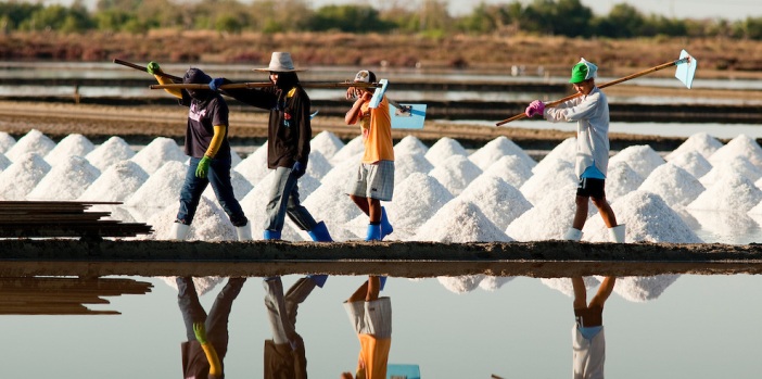 salt-field-samut-songkhram-thailand