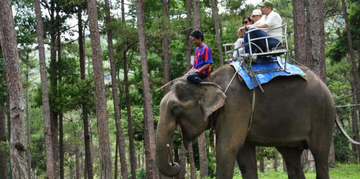 elephant-riding-dalat