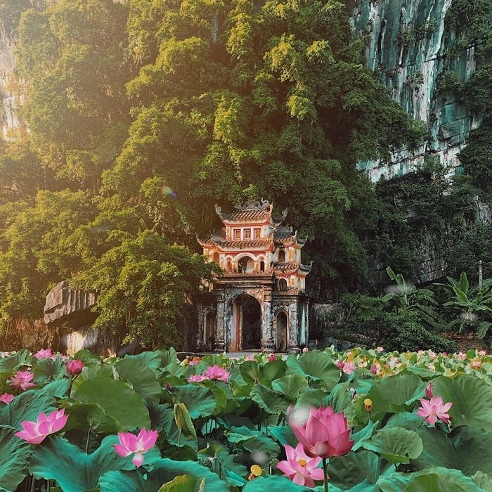 BEST OF VIETNAM