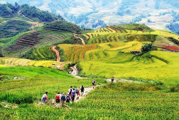 things-to-do-in-sapa-trekking