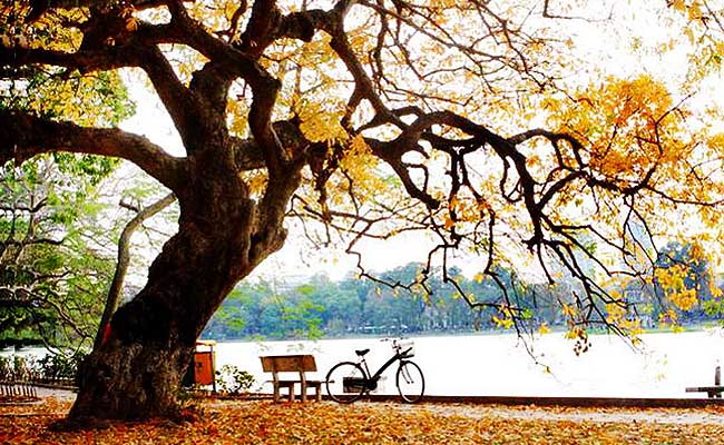 Hanoi-Autumn-Travel