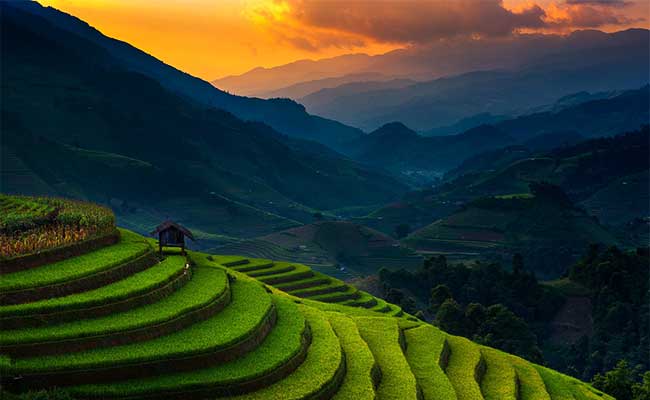 Mu-Cang-Chai-Vietnam-Travel