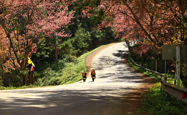 Doi-Ang-Khang-Thailand