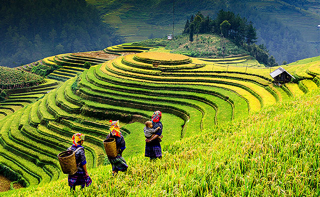 Spring-break-Sapa-Vietnam